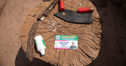 The Bushmeat System, Hunting and the Conflict of Ethics